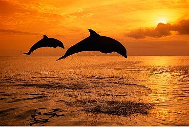 《星际公民》内容总监强调自己并非暗示“42中队”跳票